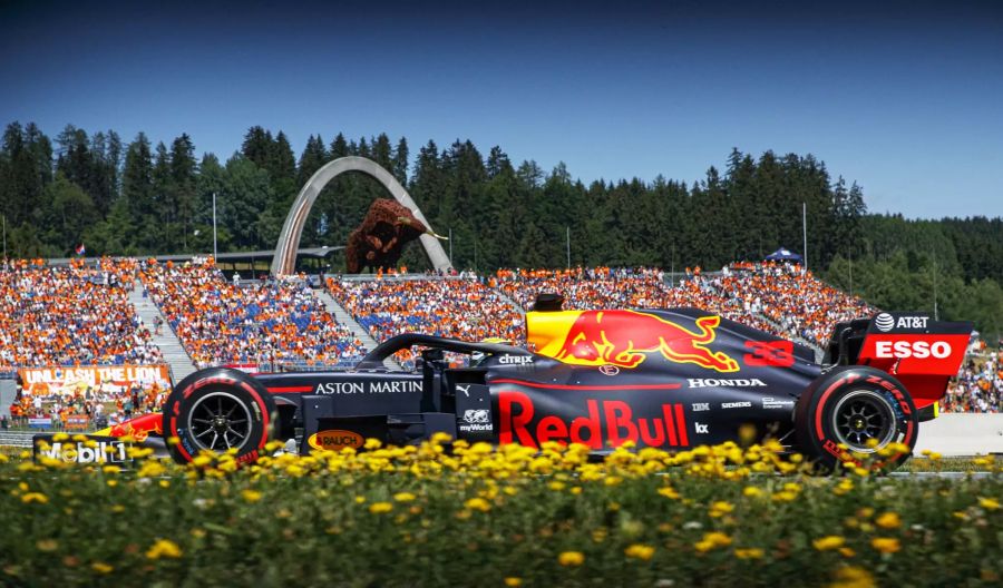 Max Verstappen Formel 1