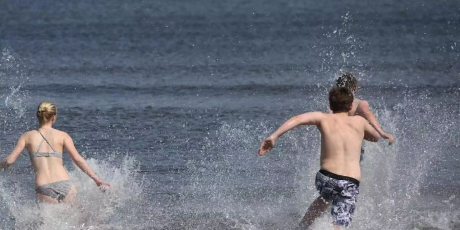 Wegen der Erderwärmung breiten sich in der Ostsee sogenannte Vibrionen aus. Gerade bei immungeschwächten Menschen können die Bakterien zu einer Erkrankung führen. Foto: Stefan Sauer/dpa