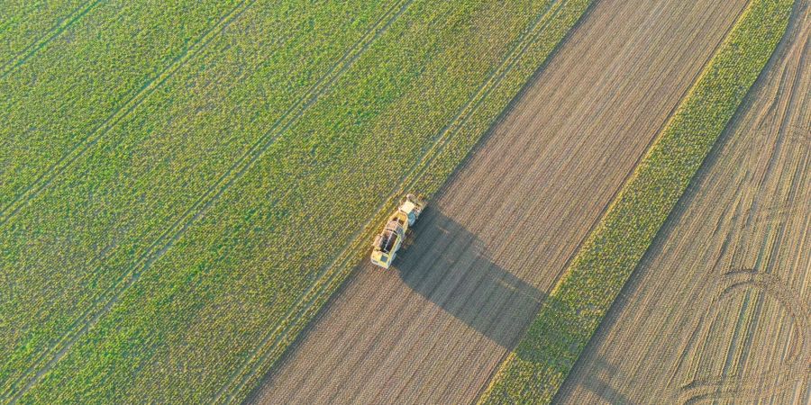 Angespannte weltweite Agrarmärkte und höhere Energiepreise infolge des Ukraine-Krieges haben Auswirkungen auf das Geschäft der deutschen Landwirte gehabt.