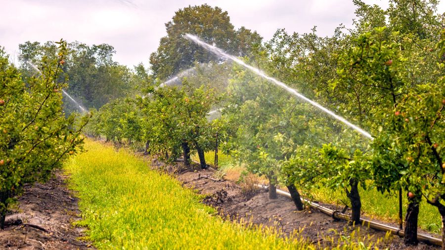 Feld wird bewässert