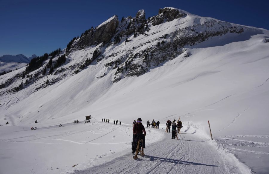 Velogemel Grindelwald