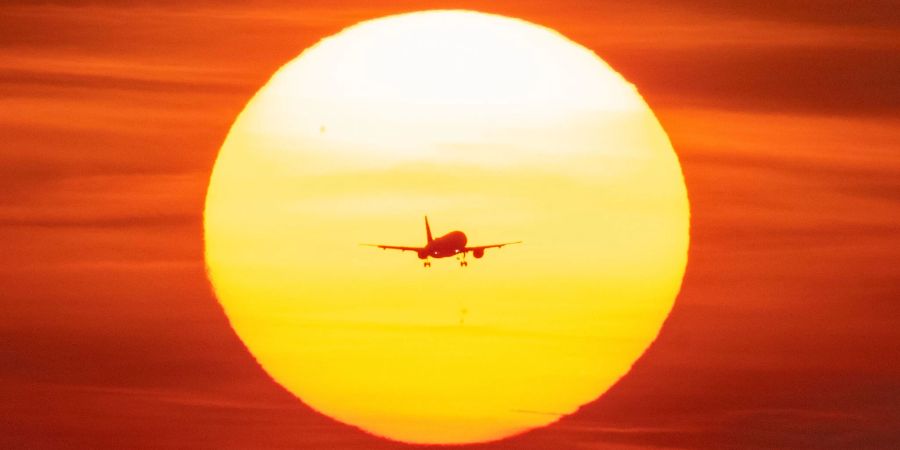 Tiron A. flog 120 Mal gratis, indem er sich als Flugbegleiter ausgab. (Symbolbild)
