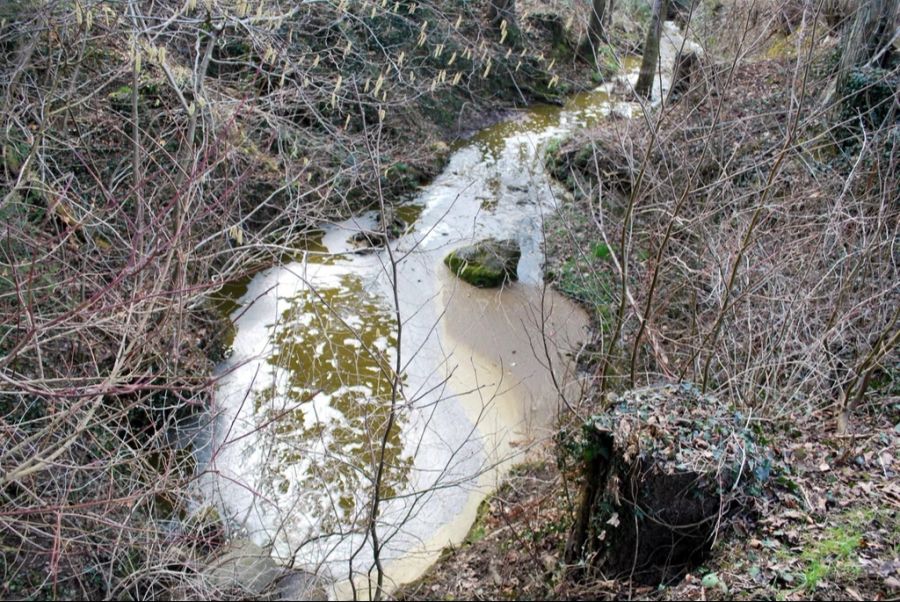 Der Chlor-Gehalt im Wasser war 260-mal höher, als in der Natur zugelassen. (Symbolbild)