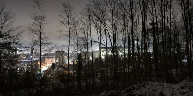 uetliberg bäume gefällt strafe