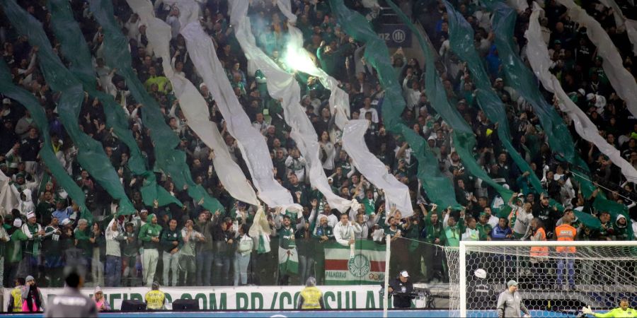 Fans von Palmeiras