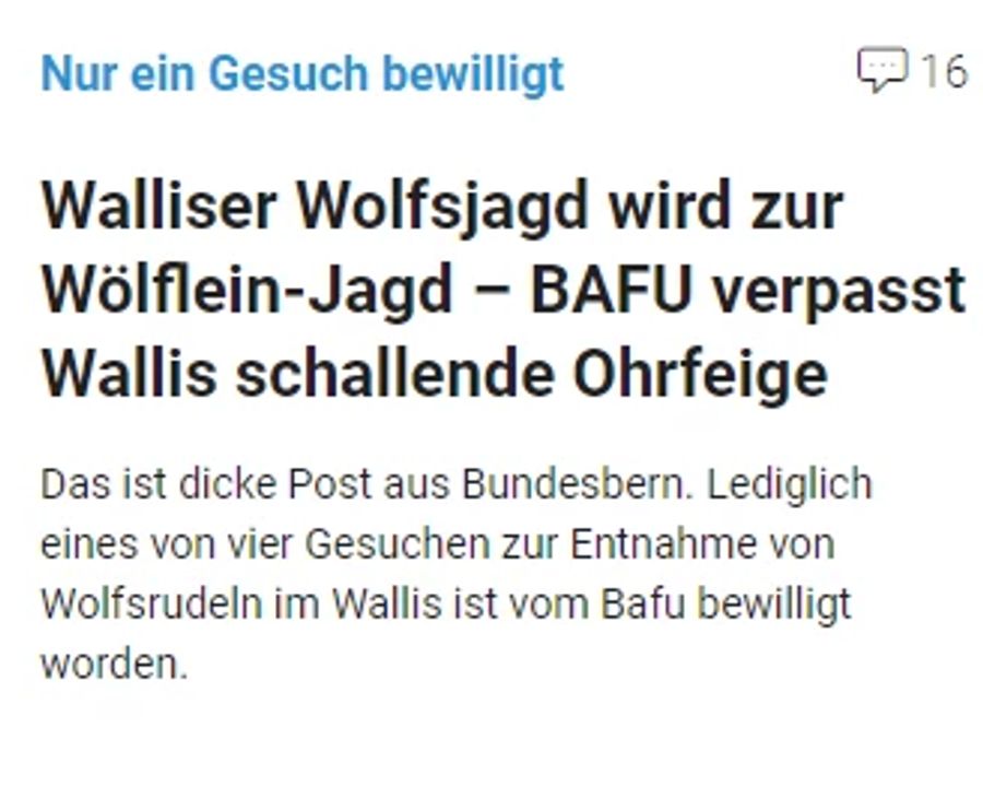 Die Rede ist von einer «Wölflein-Jagd».