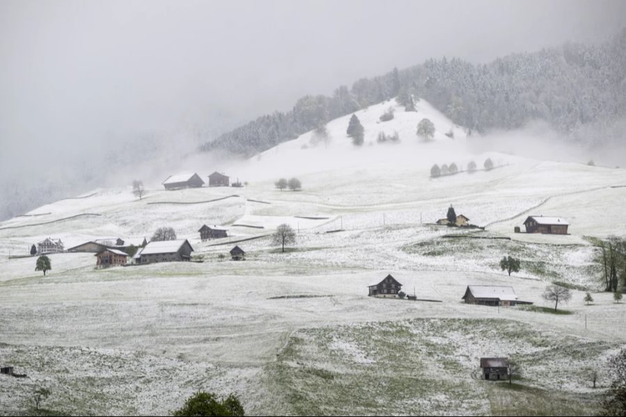 In der Ostschweiz werden deshalb bis in tiefe Lagen Schneeflocken erwartet.