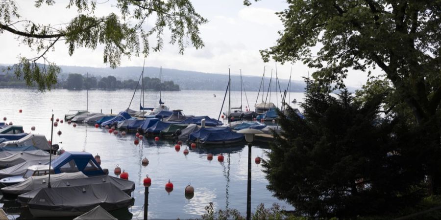 Boote Zürichsee