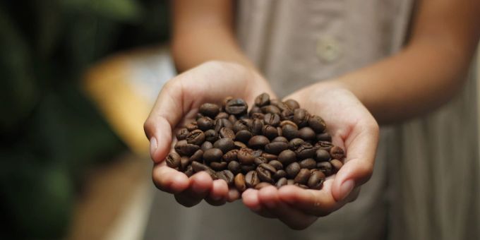 Auf Rekordniveau - Kaffeepreise so hoch wie seit 27 Jahren nicht mehr