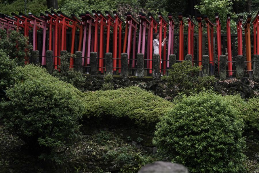 Aber auch andere Destinationen sind beliebt, wie zum Beispiel Japan ...