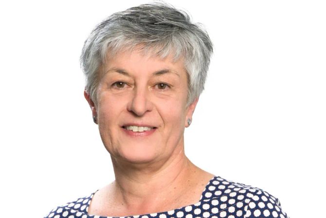 Frauenporträt graue Haare