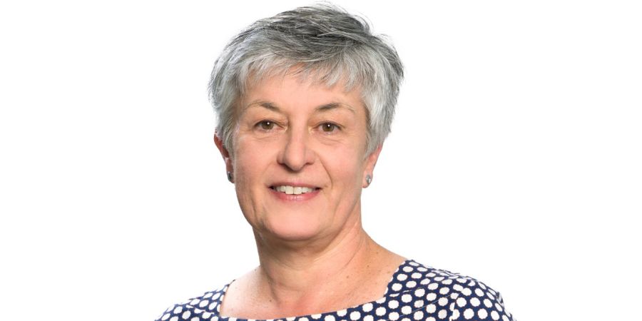 Frauenporträt graue Haare