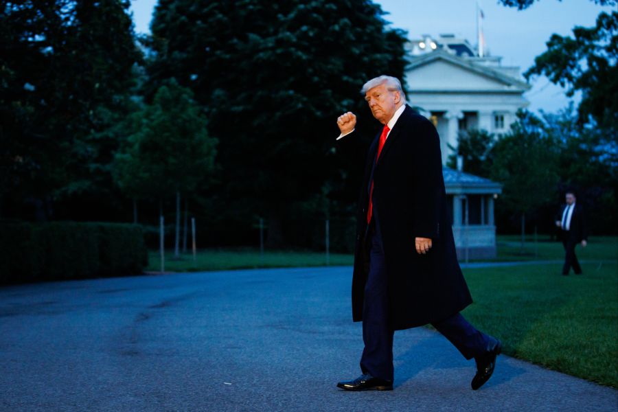 elon musk trump