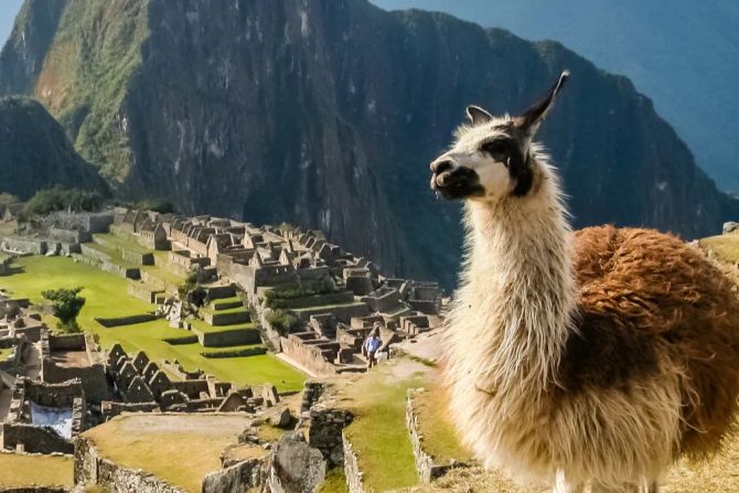 Machu Picchu