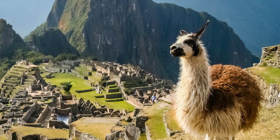Machu Picchu