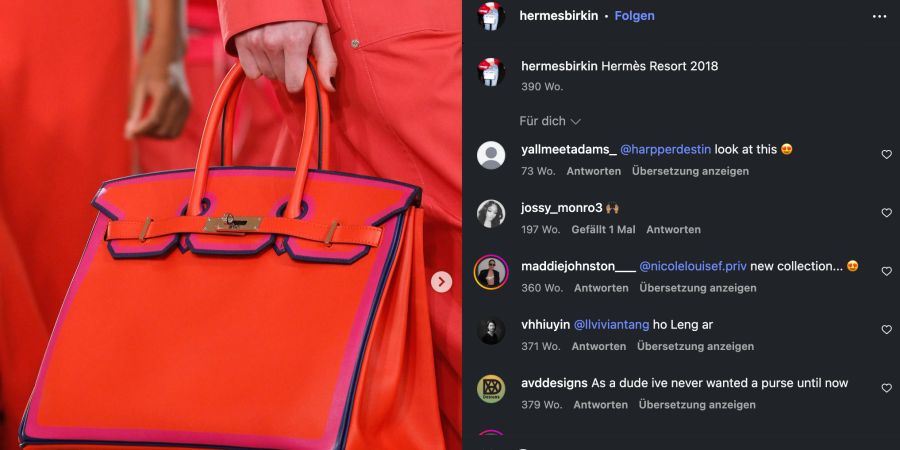 birkin bag