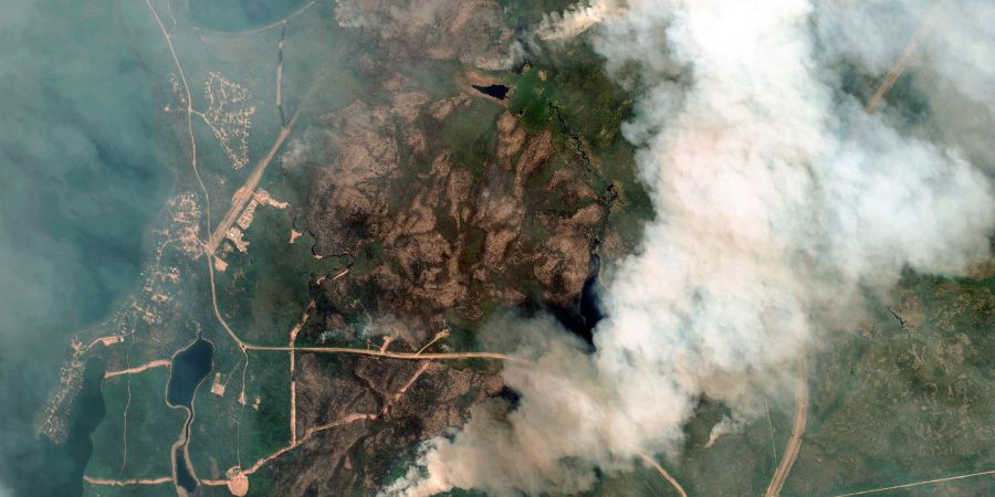 Die zunehmende Waldbrandgefahr ist nur einer der Gründe, weshalb Aufforstung als CO2-Ausgleich seine Tücken hat.