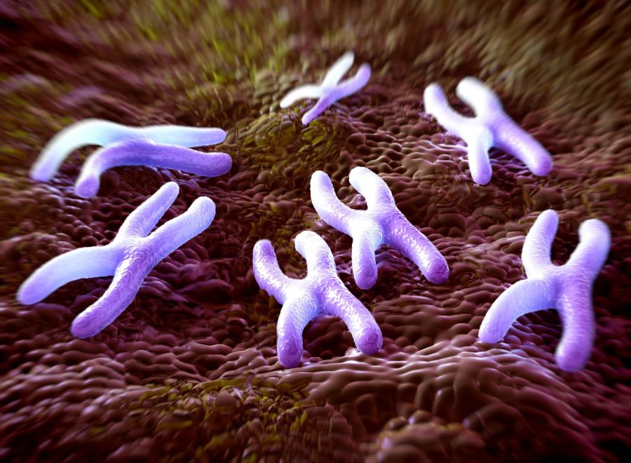Dadurch soll sie Veränderungen am Chromatin erkennen können. (Symbolbild)