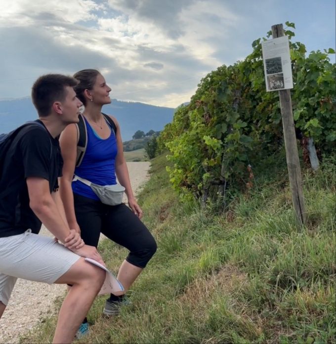 Lehrreiche Tafeln bei «Vino-Rando». Tafel Wegrand Wanderer Paar