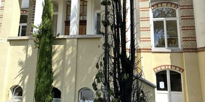 In Herisau hat ein Thuja-Baum Feuer gefangen. Brand Herisau