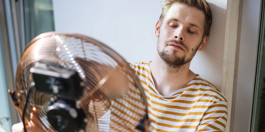 Ventilator