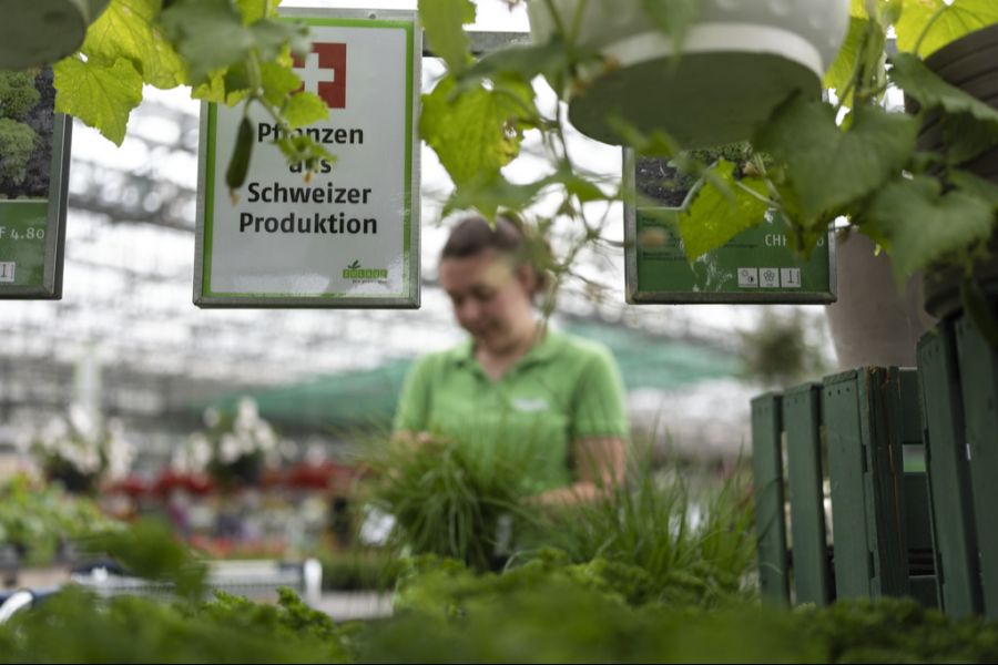 Gärtnerin Lernende Schinznach