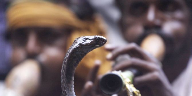 Schlangenshow Schlangenbeschwörer