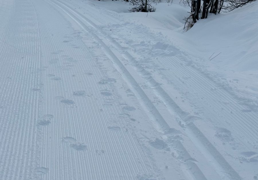 Die Bilder aus dem Engadin zeigen das Ausmass der Beschädigung.