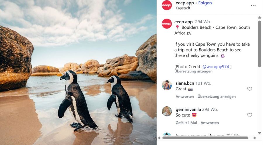 Boulders Beach Penguin Colony
