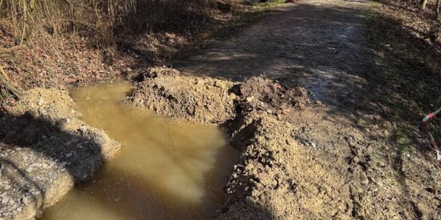 In Winterthur-Sennhof gelangte am Freitag Abwasser in eine Gewässerschutzzone. In mehreren Gemeinden sollen die Bewohner nun Wasser sparen.