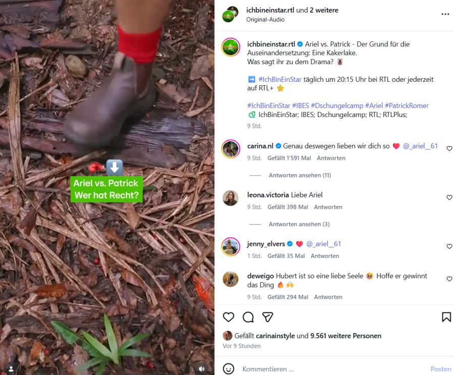 Anstatt auszuweichen, zertritt der Ex-«Bauer sucht Frau»-Kandidat die Kakerlake eiskalt vor laufender Kamera.