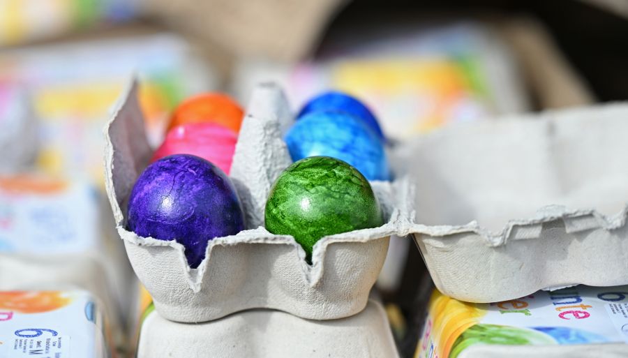 Eierloses Ostern? Für die meisten undenkbar, für eine Zürcher Tierschützerin wünschenswert.