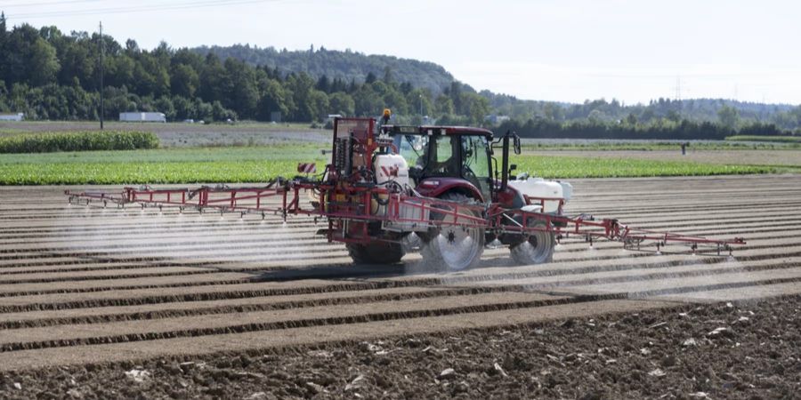 Trotzdem hat der Bundesrat beschlossen, keinen neuen Grenzwert für Deltamethrin und drei weitere schädliche Wirkstoffe festzulegen. (Symbolbild)
