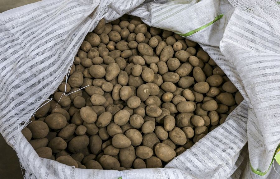 Bauern kritisieren die Aktion der Migros scharf.