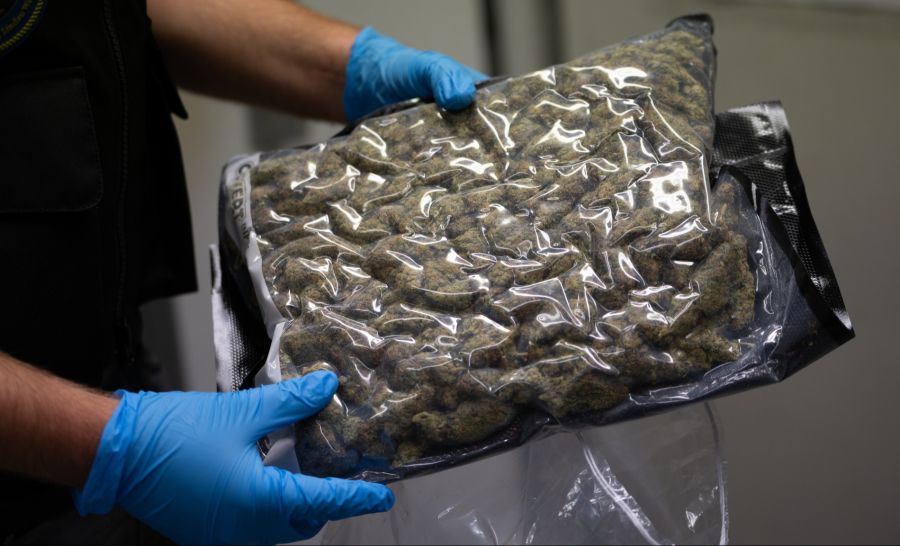 So wurde mit 4235 Kilogramm fast viermal so viel Marihuana sichergestellt als im Jahr zuvor.