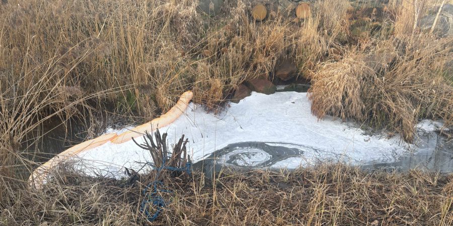 Altenrhein Feuerwehrübung