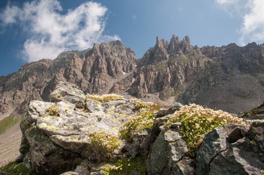 Wanderung Hinterrhein Davos