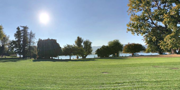 Die Chinawiese in Zürich. Chinawiese
