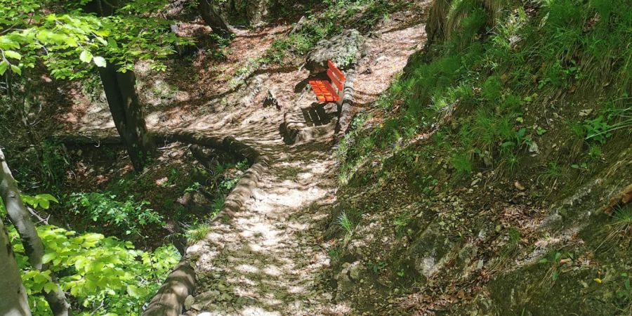 Der Wanderweg durch den Wald am Monte San Salvatore bei Lugano.