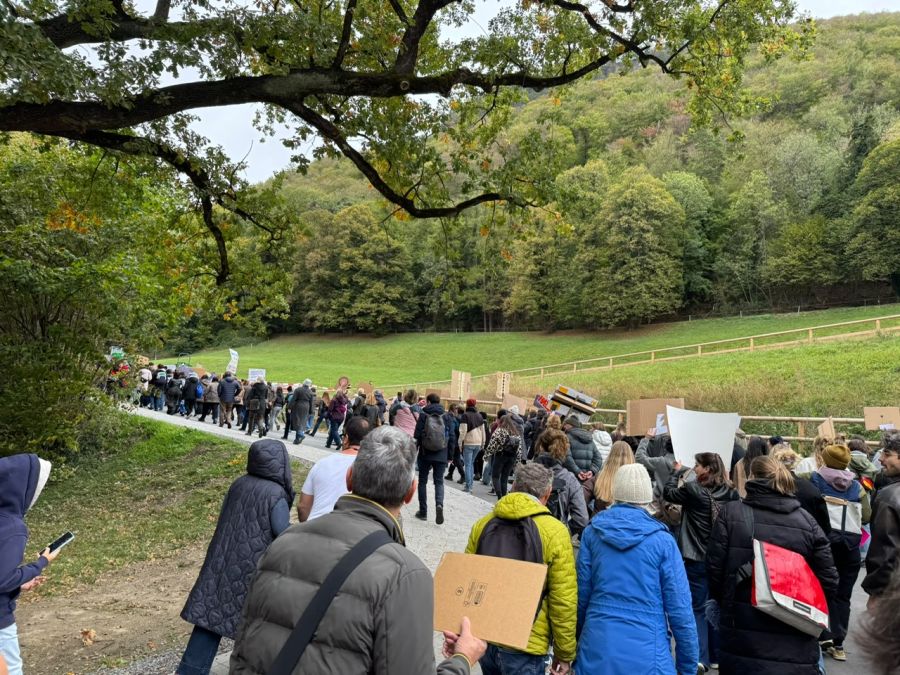 Der Protestmarsch verläuft friedlich, und die Teilnehmenden überzeugen mit starken Argumenten.