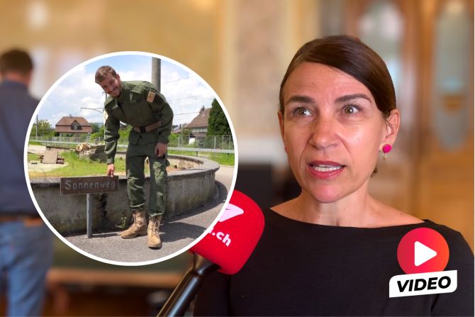 De Meuron herrenlose Grundstücke