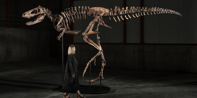 Dinosaurier versteigerung