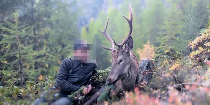 jagdfoto