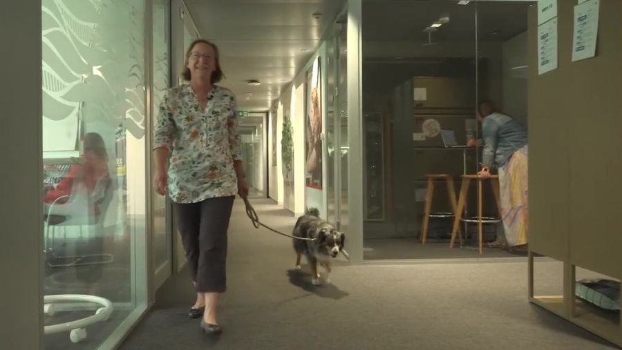 Zuma kommt gerne mit zur Arbeit. Verlässt Susan das Haus ohne sie, ist die Enttäuschung bei der Hündin gross.