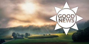 Neuer Stein gegen Luftverschmutzung