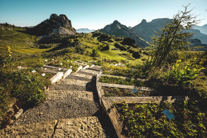 Schynige Platte mit Alpenkräutergarten und wunderschönem Ausblick. Schynige Platte, Alpenkräutergarten