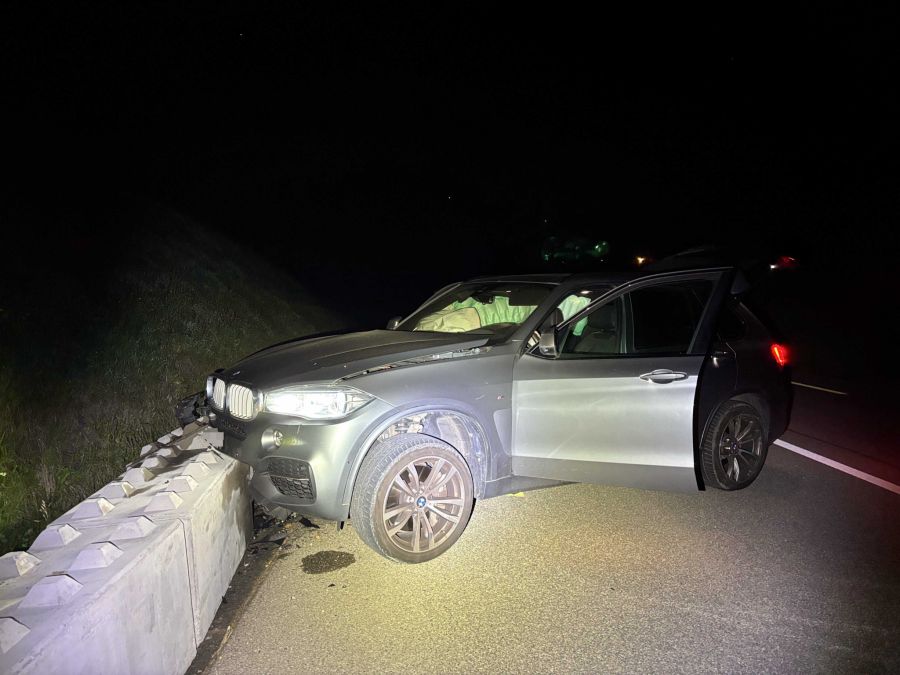 Der Fahrer gab an, dass er einem Tier ausweichen wollte.