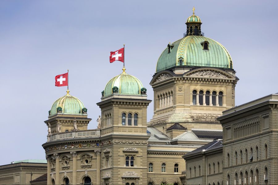 Die Initiative will in der Verfassung zusätzlich festhalten, dass die Schweiz keine Sanktionen gegen kriegführende Staaten ergreift.