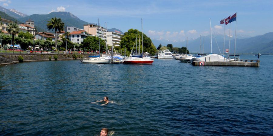 Entwarnung für Schwimmer: Die Blaualgen im Lago Maggiore bei Muralto TI haben sich aufgelöst. (Archivbild)