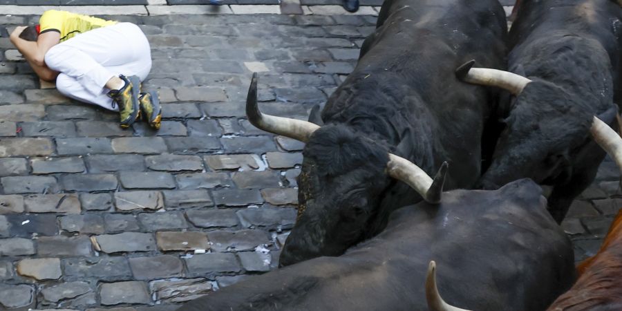 Pamplona Stier-Hetze